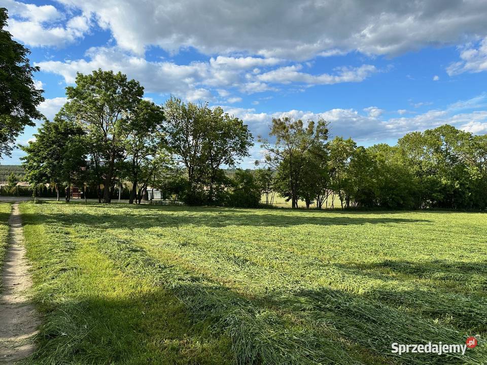 Działka Gołębowo Maniewo Gołaszyn Oborniki z wielkopolskie