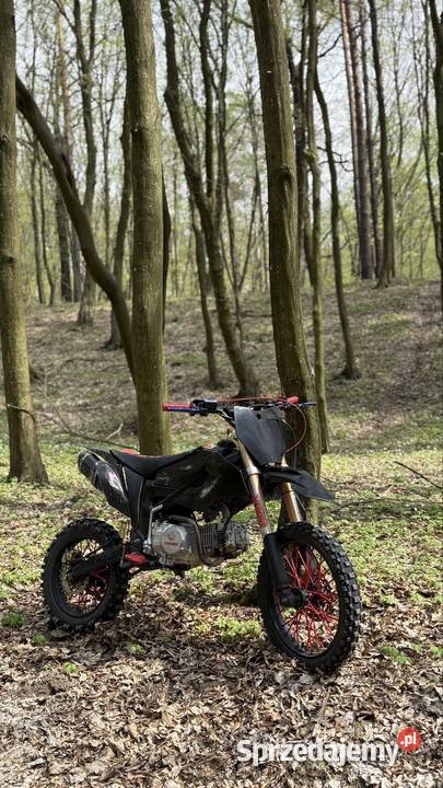 Pitbike kupiony w Polsce lubelskie Olchowiec-Kolonia sprzedam