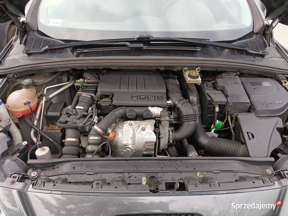 Peugeot 308 SW Kołobrzeg