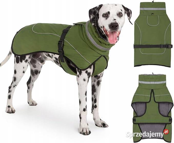 Kurteczka Axcimond zielony L Myszyniec