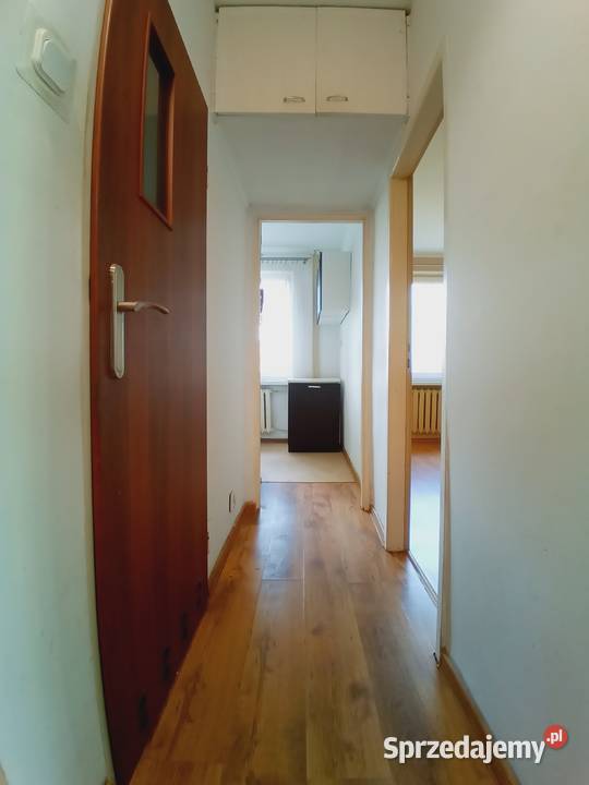 Mieszkanie 2pokojowe 3277 mkw Bez pośredników parter Nieruchomości Piła