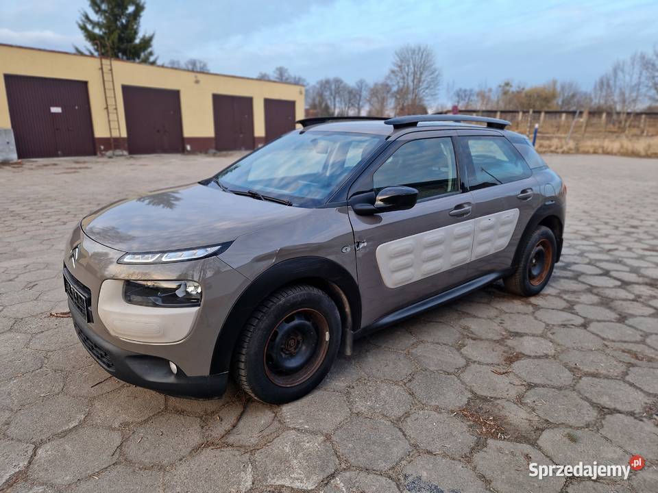 Citroen C4 Cactus C4 Cactus Złocieniec