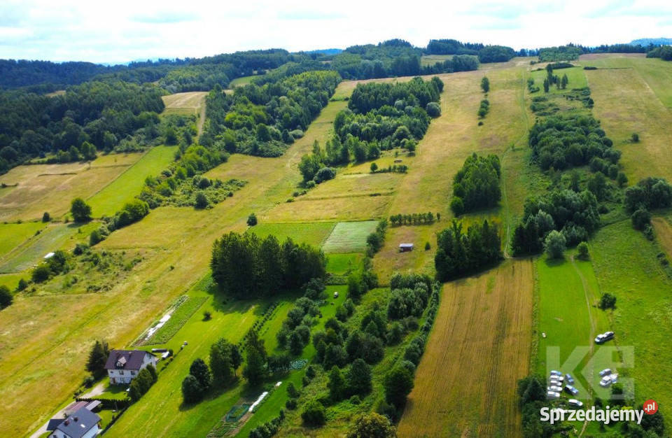 Działka Czaszyn 11684m2
