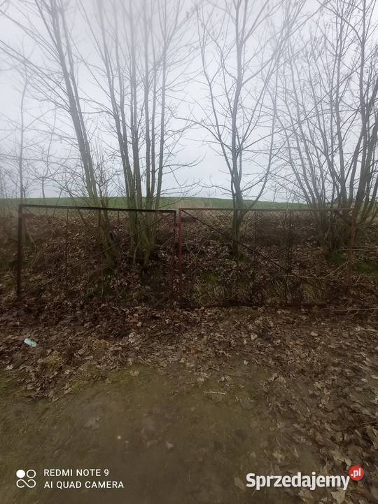 Brama wjazdowa 580170m Pozostałe kujawsko-pomorskie Gostycyn