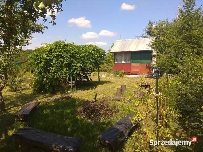 Dwie działki ROD MALWA 6a 10zł/m2 Chełm