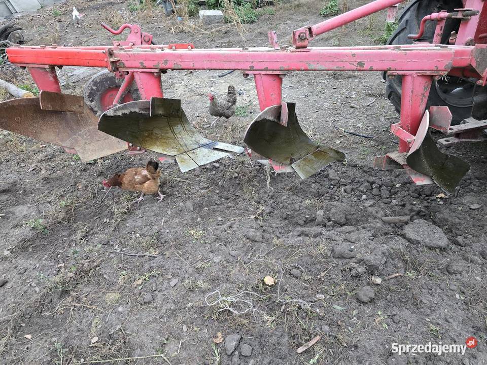 Pług 31 4 skibowy unia Grudziądz nieuszkodzony Mirów Nowy sprzedam