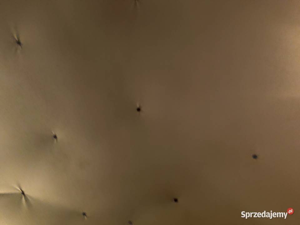 BMW E46 Tomaszów Mazowiecki