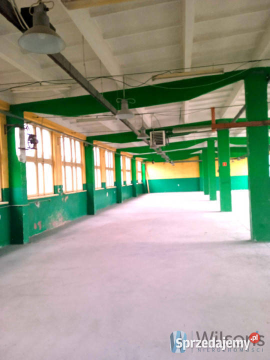 Lokal Radom Św Wacława 612m2 Wynajem