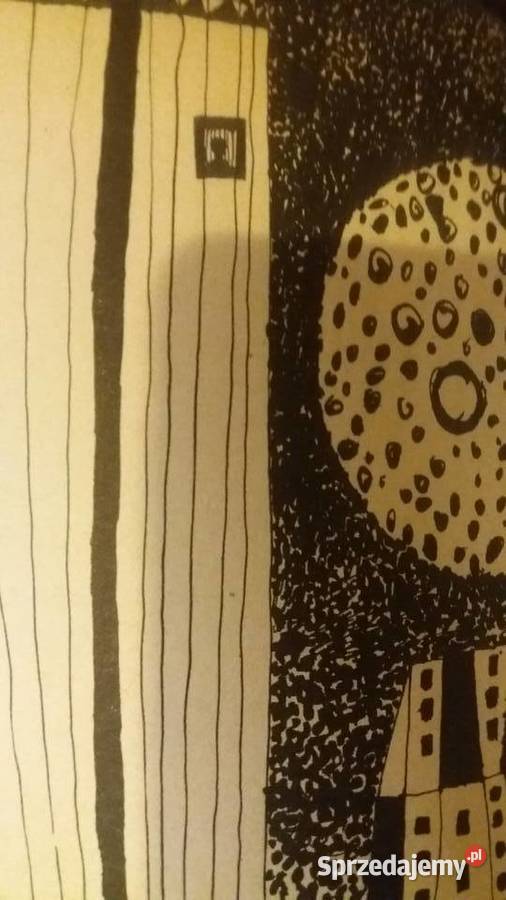 Wio Leokadio książki dziecięce ładnie wydane mazowieckie Warszawa sprzedam