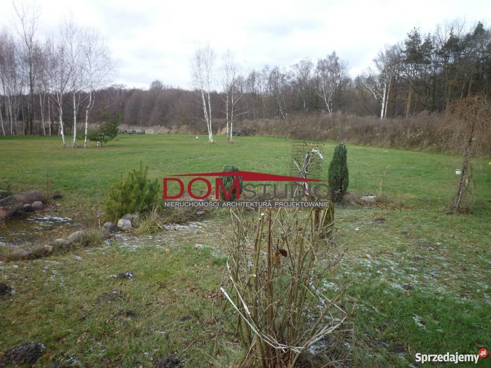 lokal Sośnicowice śląskie