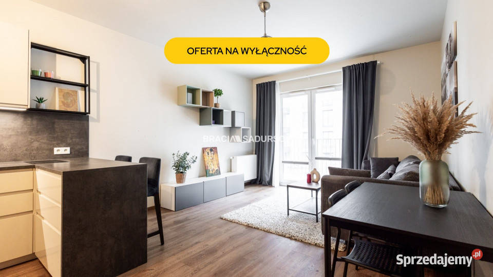 Wynajmę mieszkanie Kraków Rakowicka 4551m2 2