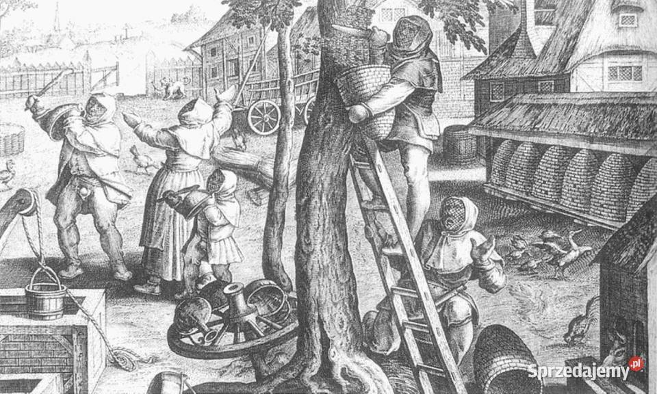 NATURALNE POLSKIE MIODY z Tradycyjnej Pasieki Andrychów sprzedam