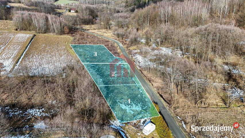sprzedaży działki Nawsie 700m2 700m2 Sprzedaż podkarpackie