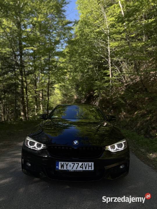 BMW F32 428IX Świeży rozrządu ASO automatyczna małopolskie Nowy Sącz
