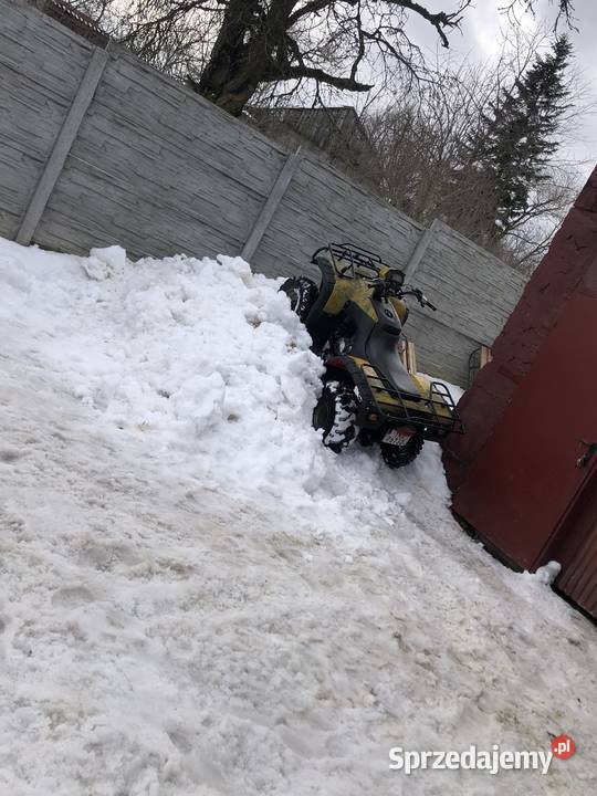 Quad 250 duży naped na wale hak manualna Bashan Nowa Słupia