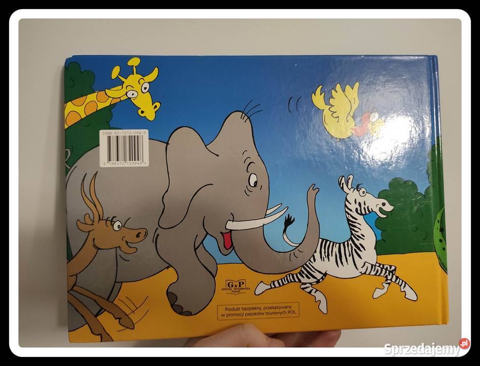 K Makuszyński i M Walentynowicz Przygody mazowieckie Płock