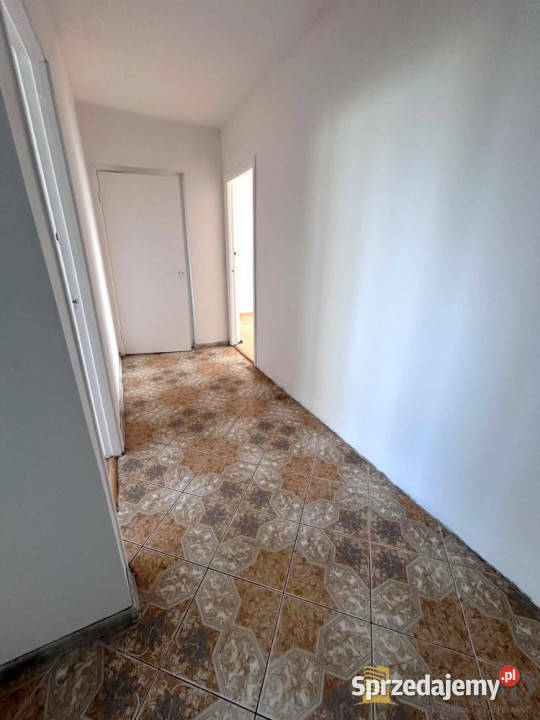 Mieszkanie 589m2 3 pokoje Szczecin 7623zł/m2