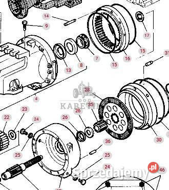 Massey Ferguson 8160 Układ Planetarny Zwolnica wielkopolskie Jastrzębniki