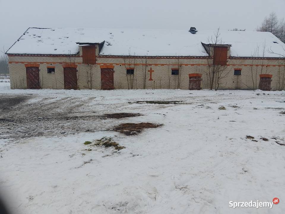 Siedlisko we wsi Krasówka Włodawa