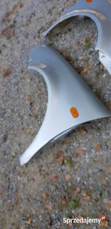 Volkswagen Golf 4 błotniki błotnik lubelskie