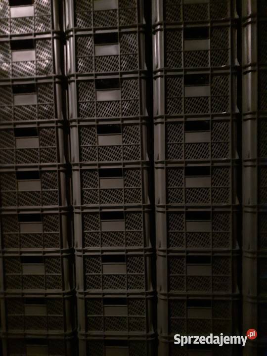Sprzedam klatkiskrzynki plastikowe