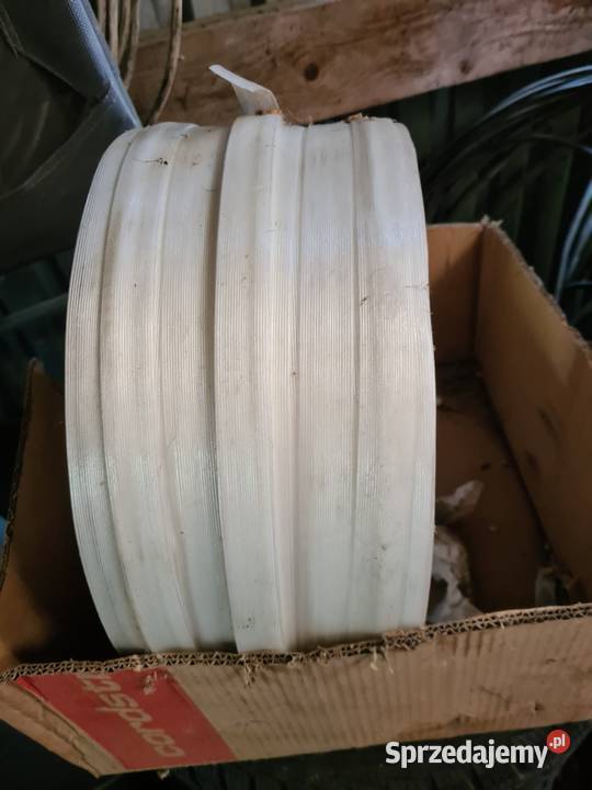 Bandownica Kurozwęki