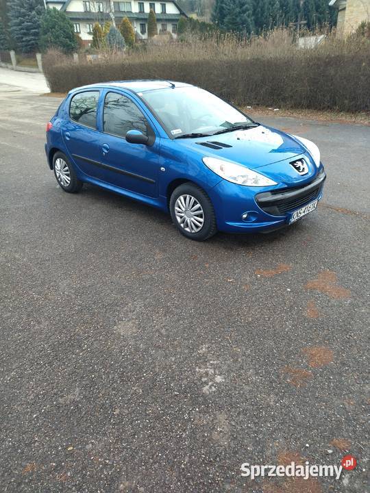 PEUGEOT 206 PLUS Wielogłowy