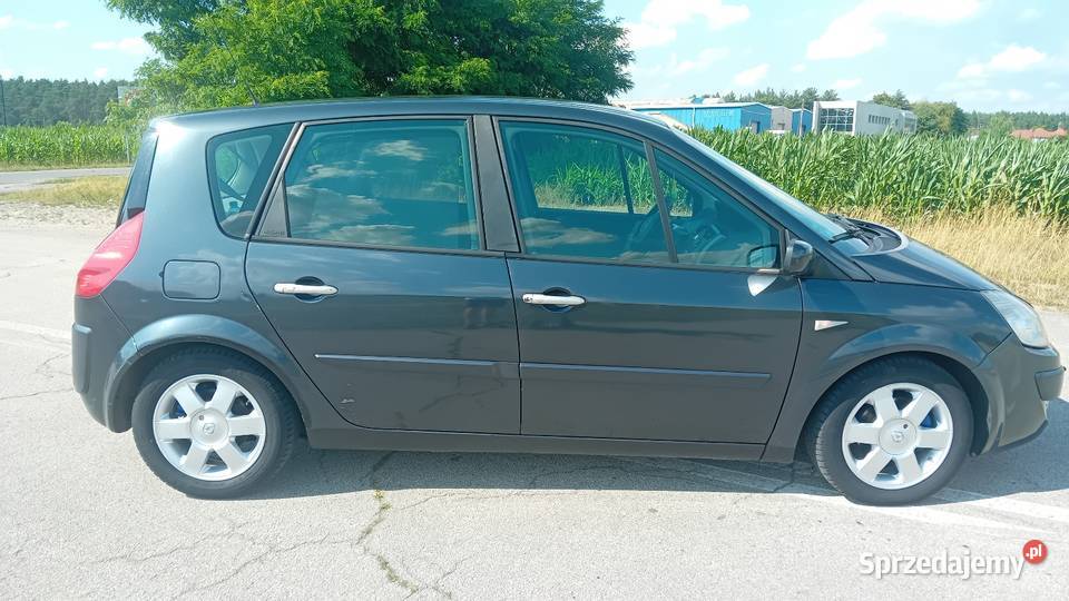 Renault Scenic ii lift 15 DCI OSZCZEDNY SILNIK Rzetnia