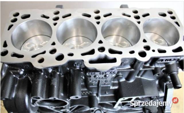Silnik 20 BiTDI 180 Volkswagen Transporter T5 Opole