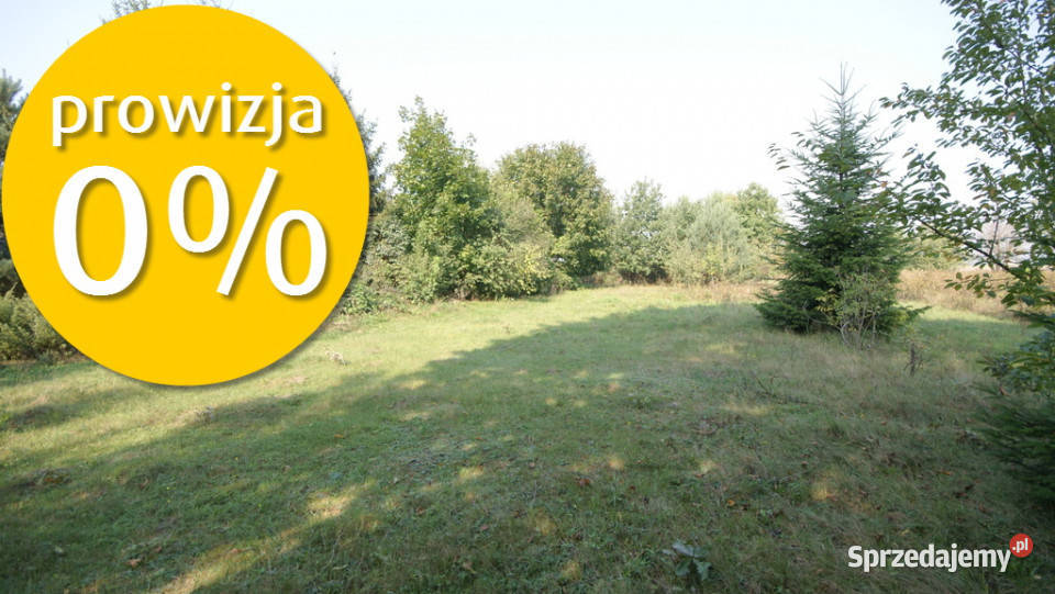 Działka 16 ar w miejsc Gołąb pow Lubartowski Grunty i działki
