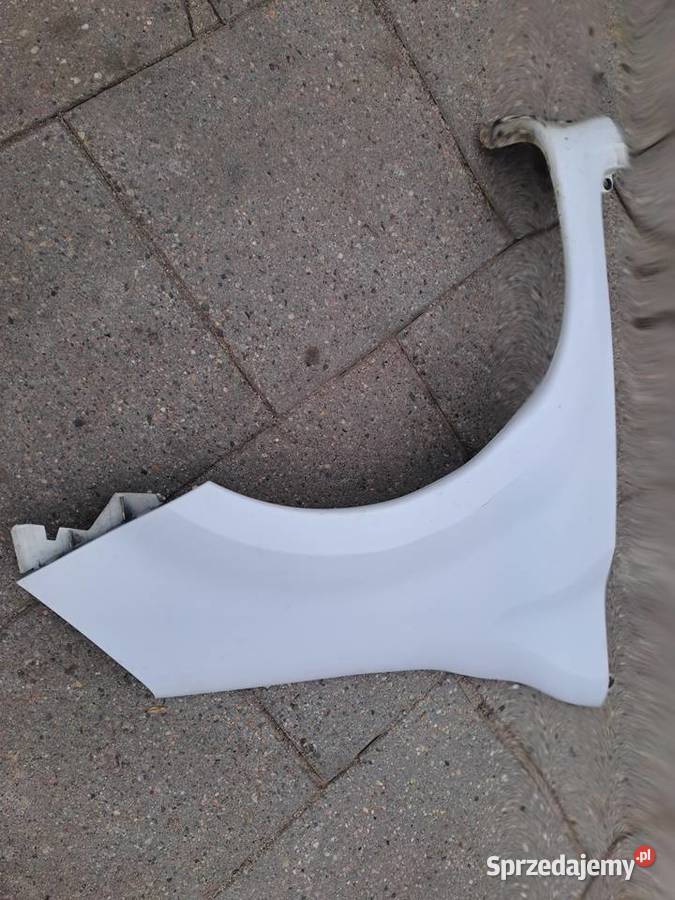 Renault Modus Lift 20082013r błotniki maska Jastrzębie-Zdrój