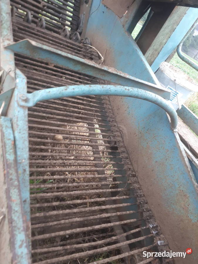 Kombajn ziemniaczany Anna z644 stan Sobótka