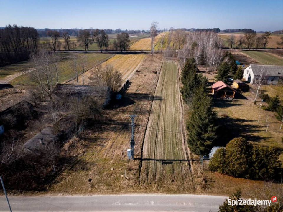 Na sprzedaż działka budowlana asfalt Koziołki