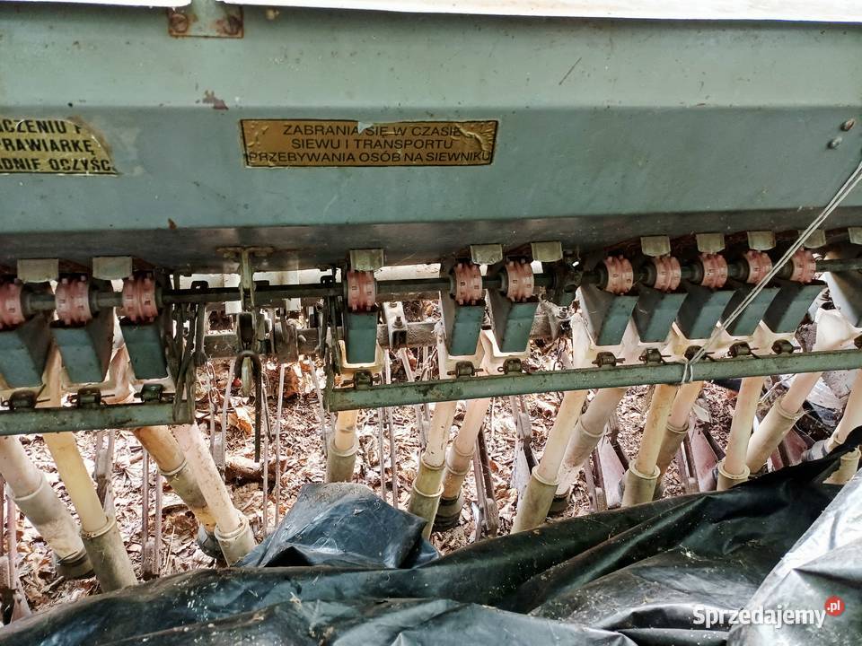 Siewnik Poznaniak nieuszkodzony wielkopolskie Wygoda Plugawska