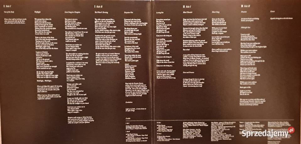 Album Steve Hackett Wolflight sprzedam