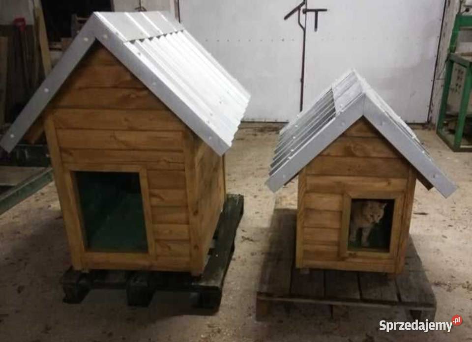 Króliki królik samiec samica klatka transporter