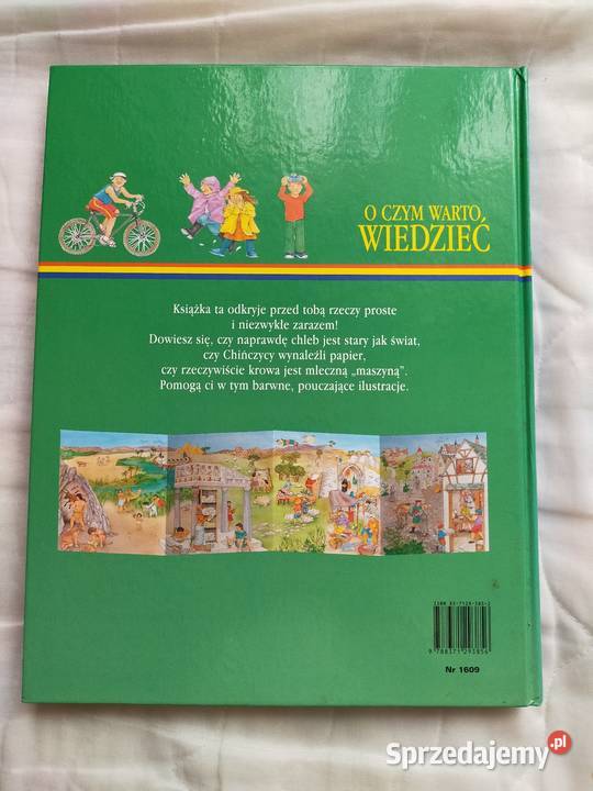 O czym wiedzieć E Bussolati twarda Siedlce sprzedam
