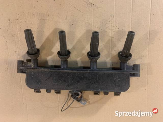 cewka cewki zapłonowe peugeot 206 16 benzyna Szczecin