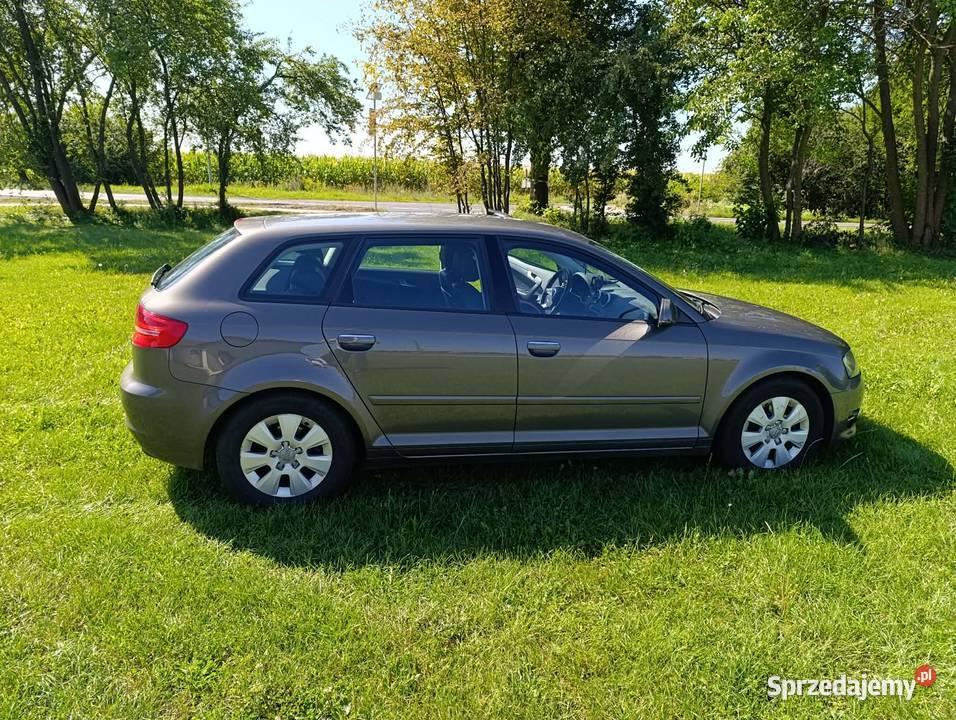 Audi A3 Gostyń
