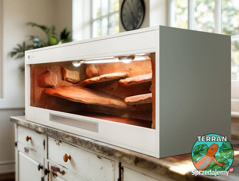 Terrarium 150x50x50 agama waż zbożówka gekon Jelenia Góra