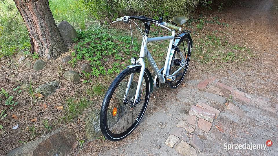 Designerski Perłowy Rower Miejski Męski Cortina Wołów