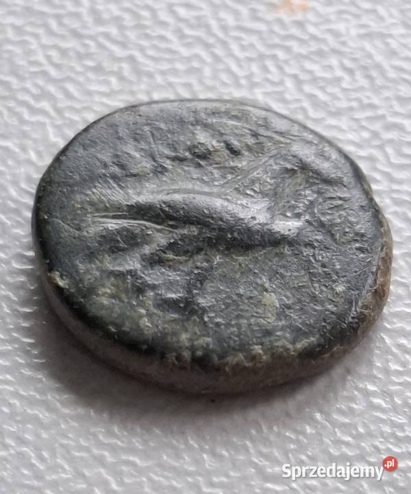 Moneta antyczna Grecja Aeolis Kyme 350250 BC Wejherowo