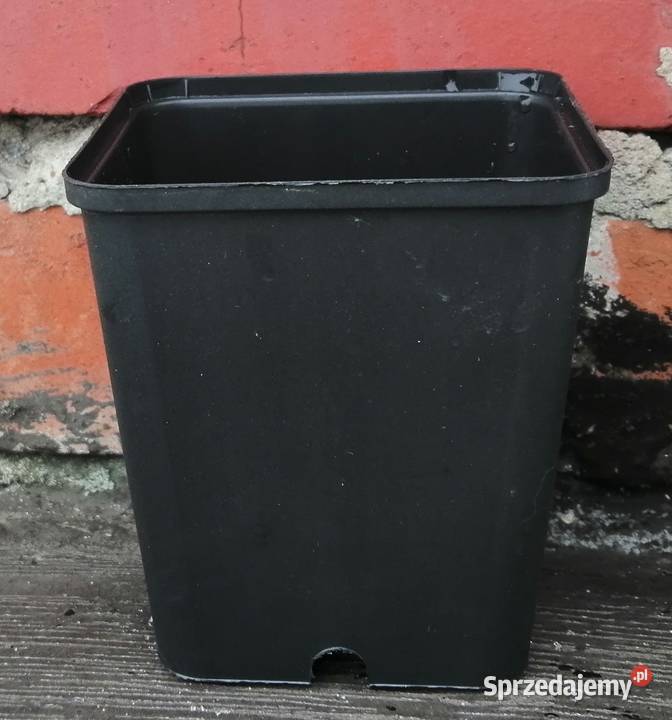 Doniczki produkcyjne P9 9x9x10 czarne 10 sztuk Siewierz