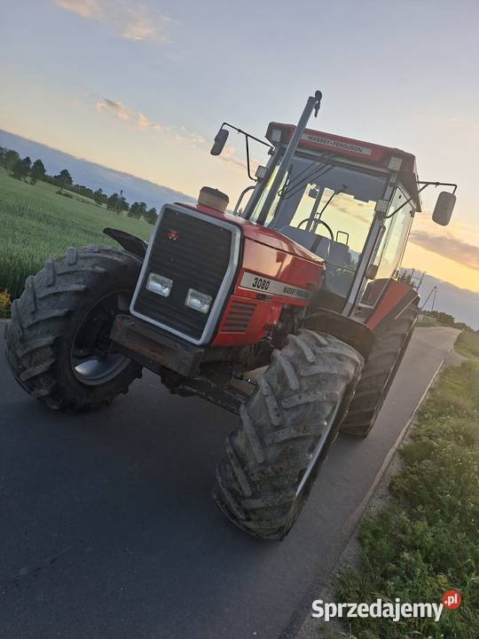 Massey Ferguson 3080 Kikół