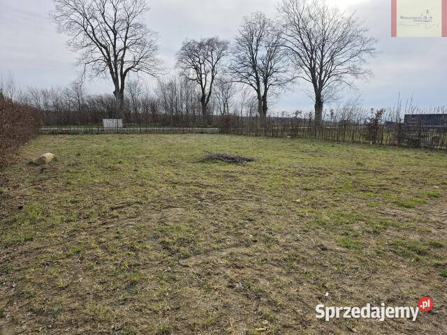 Działka Starzyński Dwór 1004m2 50m Sprzedaż