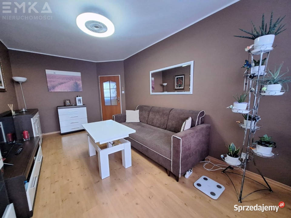 sprzedaży mieszkania Świecie 507 metrów kujawsko-pomorskie