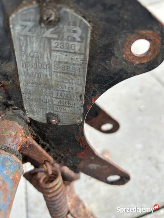 Komar sztywniak sport małopolskie Wadowice