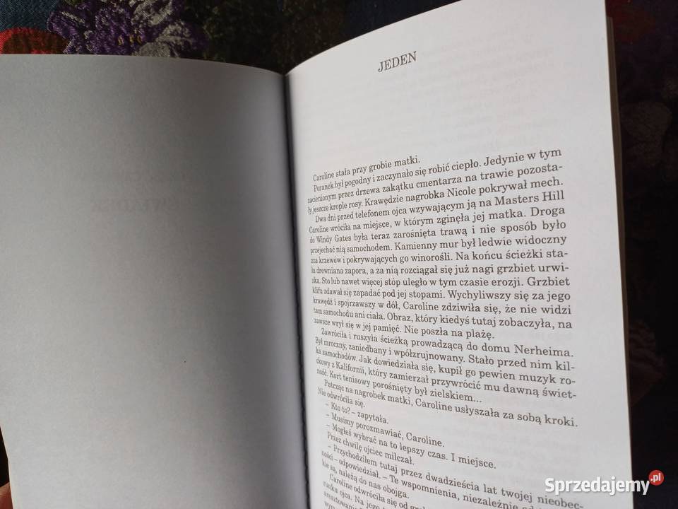 Wyrok ostatecznyRichard North Patterson Kraków