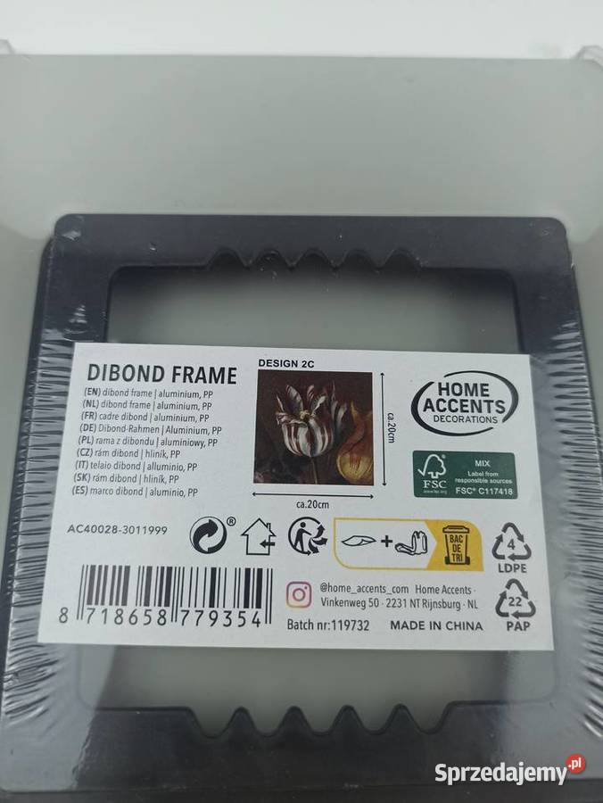 Obraz Rama Z Dibondu 20x20 Kwiaty Obrazki i obrazy podkarpackie Stalowa Wola