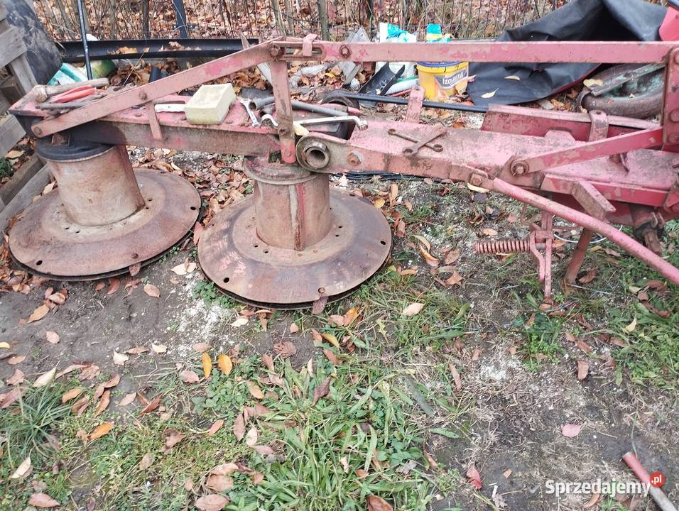 Brony 5 polowe gwiazda 4 łódzkie Rzgów